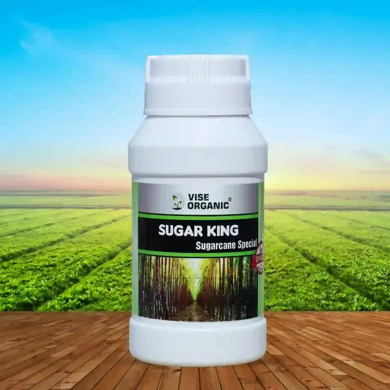 Sugar King