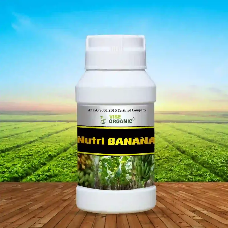 Nutri Banana