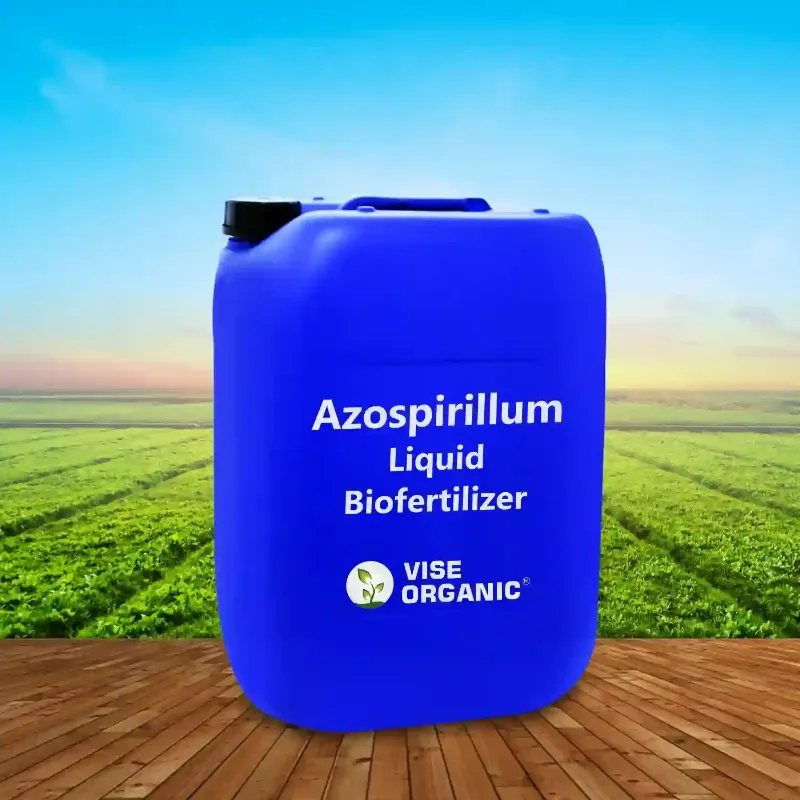 Azospirillium Liquid Based