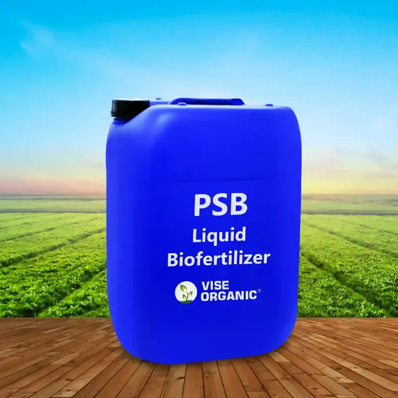 Phosphate Solubilizing Bacteria