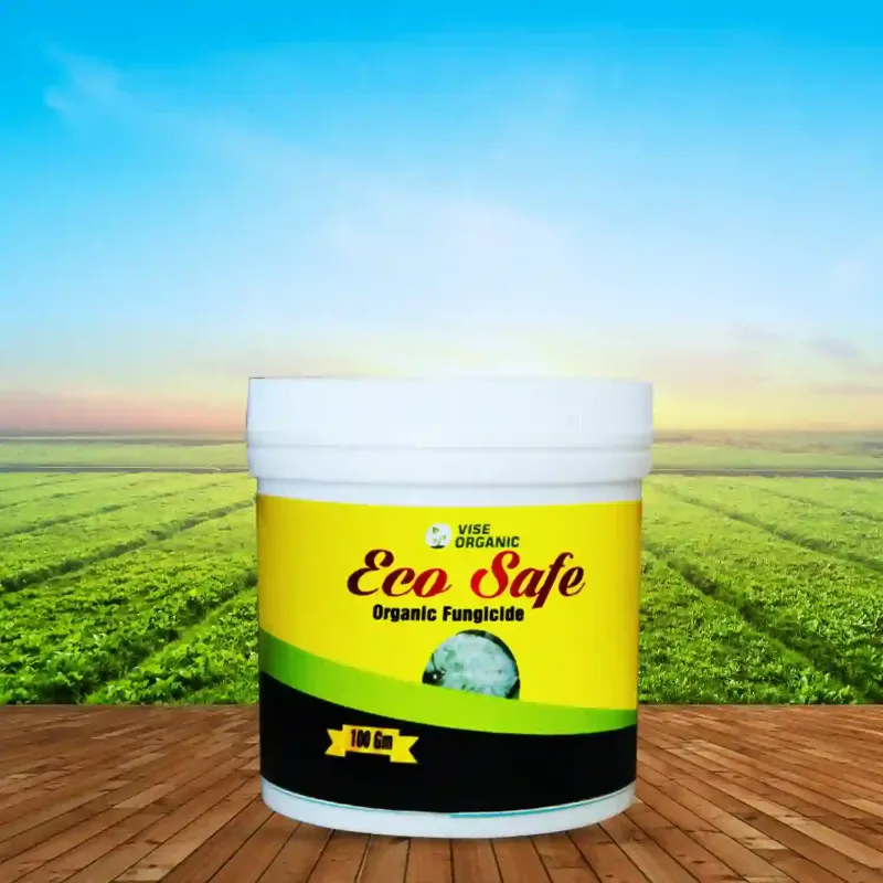 Eco Safe