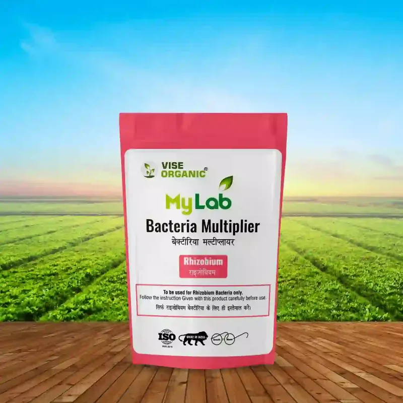 Rhizobium Multiplier