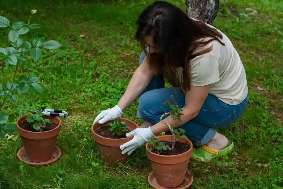 Nurturing Nature: Enhancing Soil Fertility in Your Small Garden Naturally