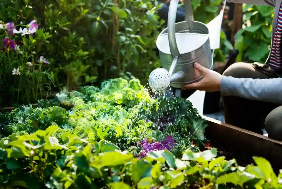 Nurturing Your Garden: A Comprehensive Guide to Watering Your Plants