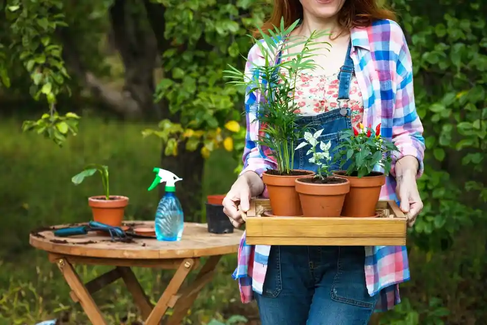 Green Ingenuity: Creative Ways to Repurpose Household Items for Your Garden