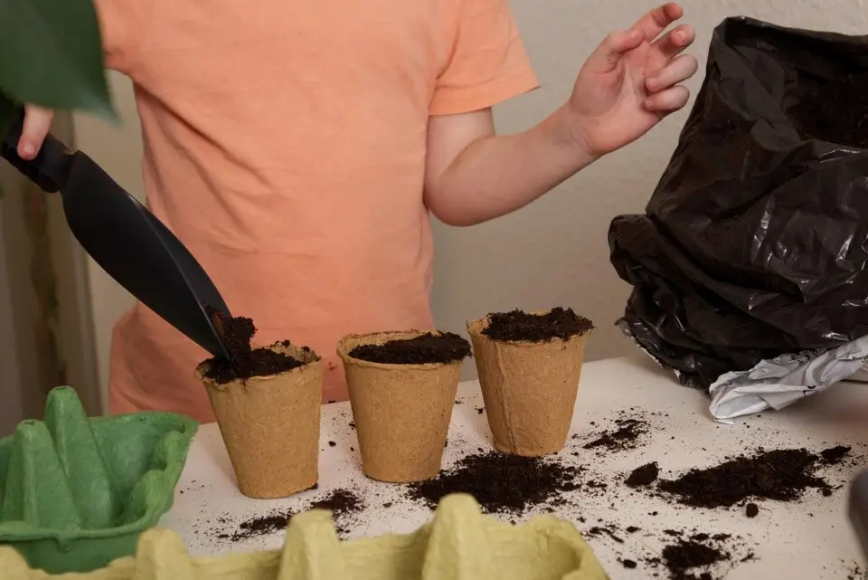 Cultivating Sustainability: A Guide to Creating a Home Composting System