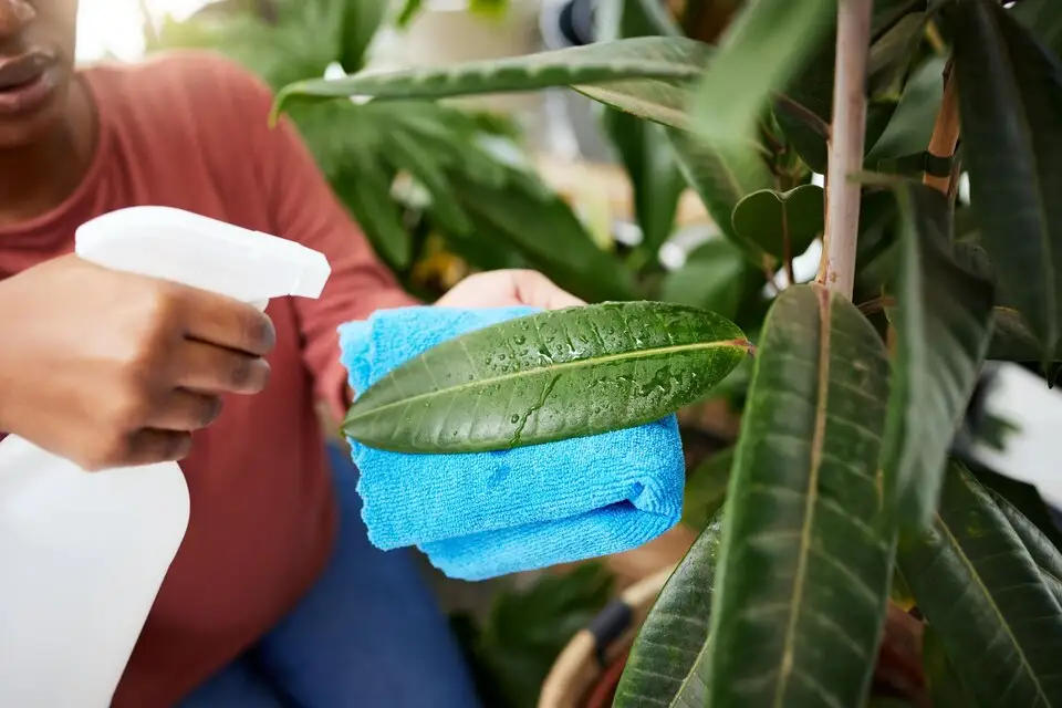 Protecting Your Patch: Effective Methods for Preventing Soil Erosion in Your Garden