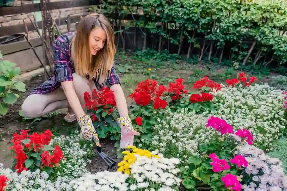 Maximizing Space: Strategies for Growing a Variety of Plants in Small Gardens