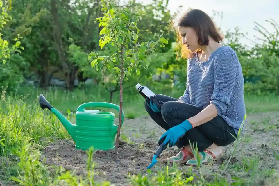 Choosing the Perfect Fertilizer: A Guide for Gardeners