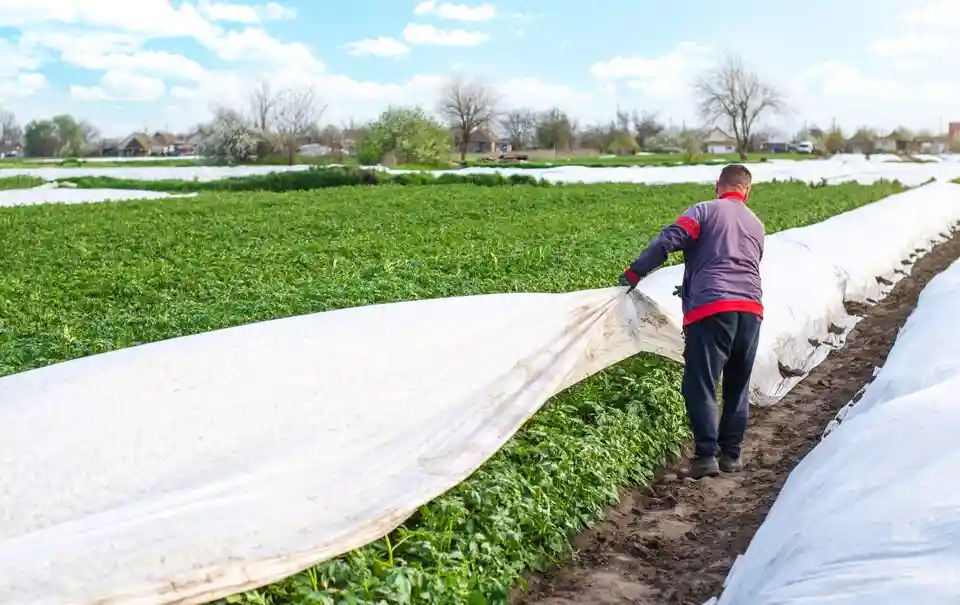 Embracing Eco-Friendly Alternatives: Sustainable Farming Without Chemical Fertilizers