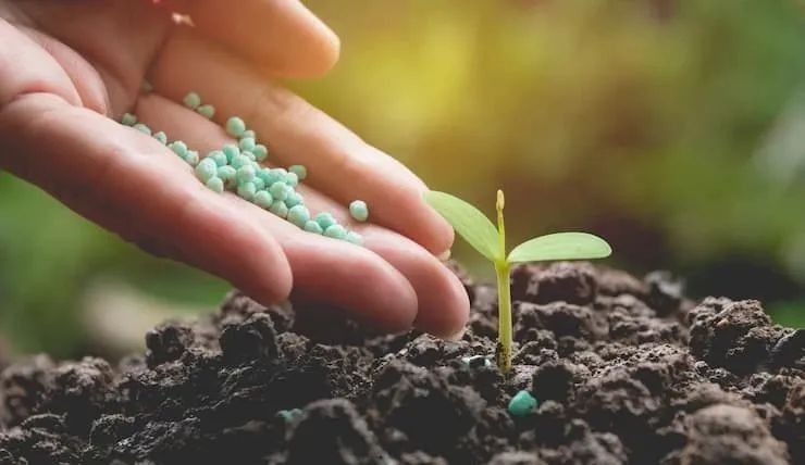 How do Nitrogen biofertilizers fix nitrogen in soil?