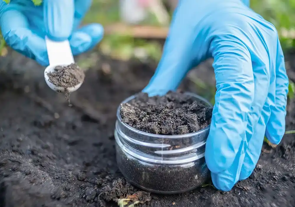 How Does Eco Green Stimulate Microbial Activity in the Soil?