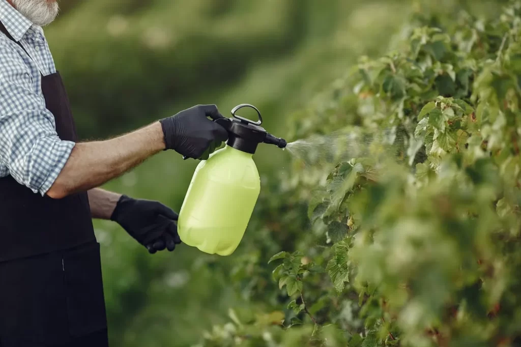 What is the Recommended Application Rate for Foliar Spray with Eco Green?
