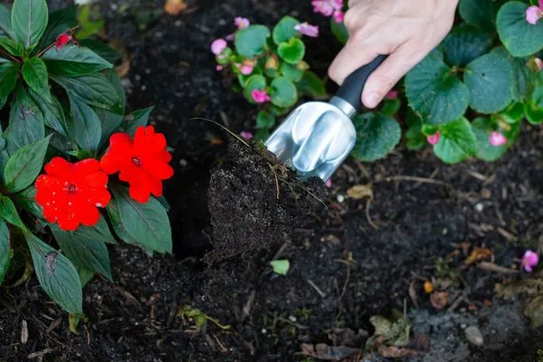 How Can Eco Green Help Lower the pH of Soil to a More Neutral Level?