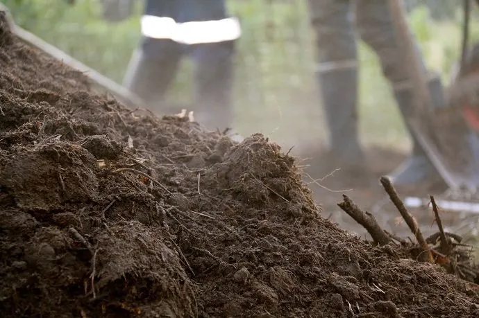 How Does Eco Root Enhance Microbial Activity in the Soil?