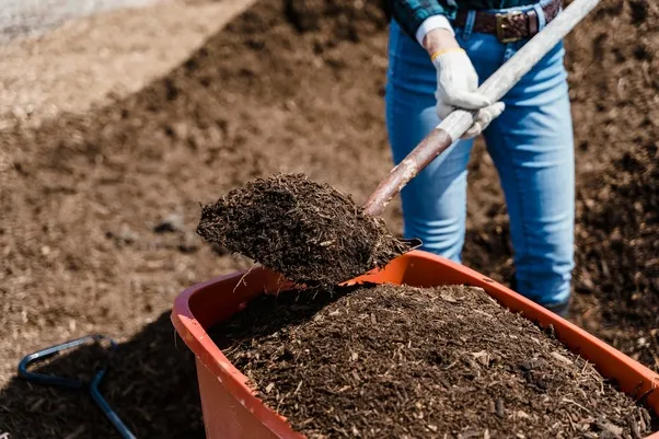 What Are the Benefits of Using Eco Granules in Gardening?