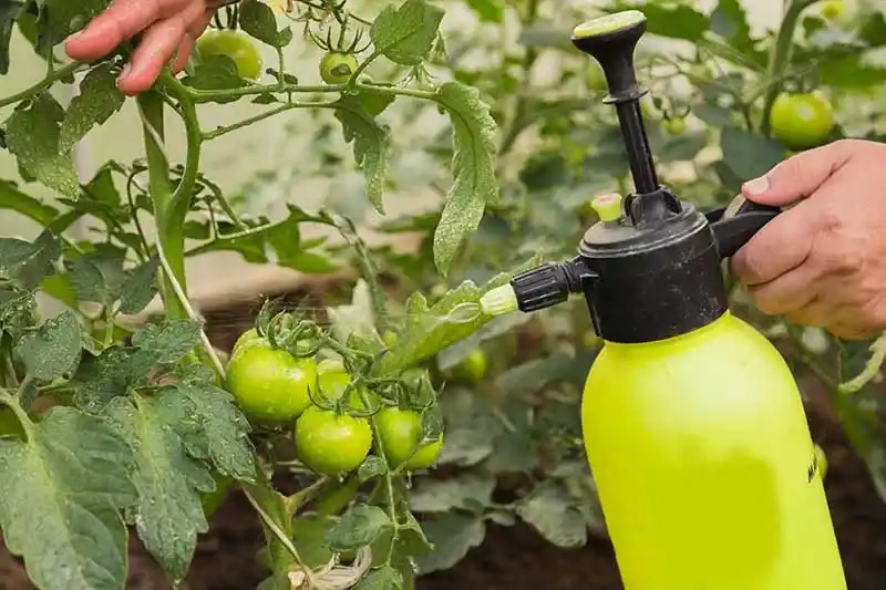 What Are the Recommended Application Methods and Dosages for Eco Granule, Both for Foliar Spray and Soil Application?