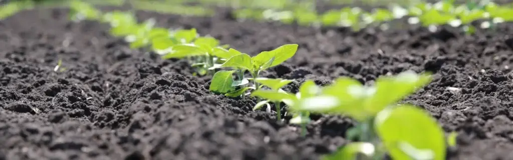What Are the Key Components of Secure Power, and How Do They Facilitate Healthy Plant Growth?