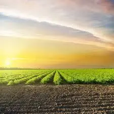 How do organic farming methods improve soil health and fertility?