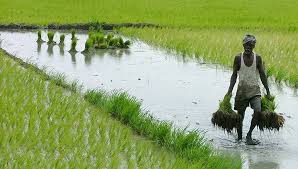 How can organic practices contribute to sustainable water use on farms?