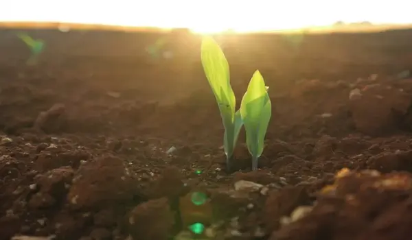 How does organic farming support natural ecosystem functions?