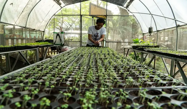How can organic techniques enhance food quality and safety?