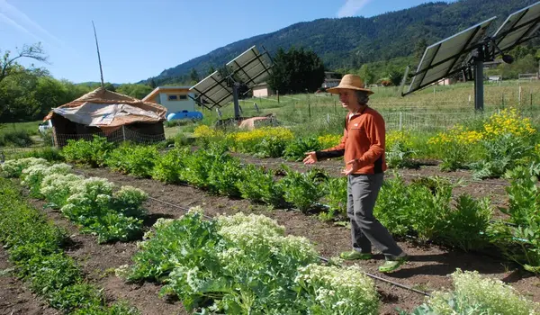 What economic advantages do organic farming practices offer farmers?