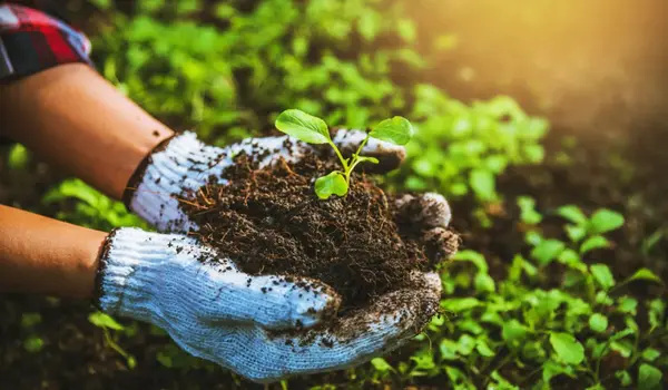How does organic farming promote healthier soil ecosystems?