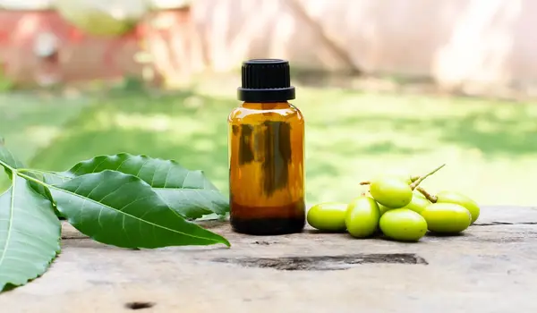How to use neem oil in organic farming?