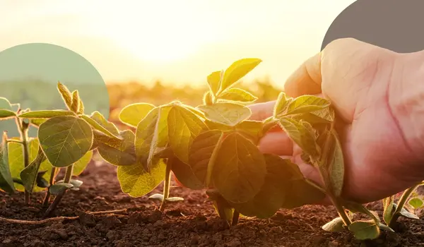 What are the cultural implications of supporting organic farming?