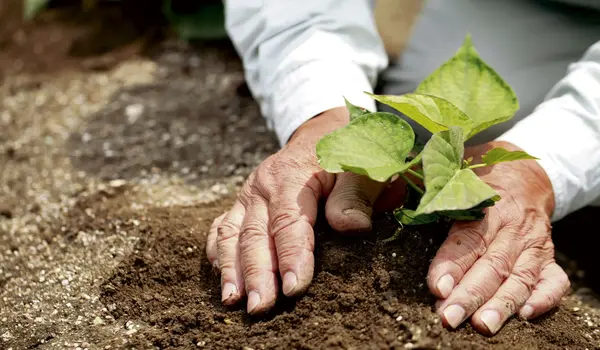 What are the uses of Green Care?