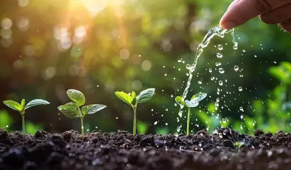 How does Secure Power support plant health and growth as a growth promoter?