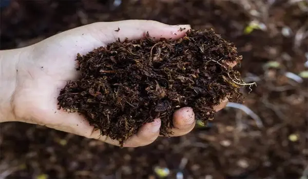 What advantages does Potash Mobilizing Microorganism offer as an organic fertilizer?