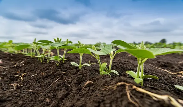 How can Azospirillum Liquid Based benefit crop growth and nitrogen fixation?