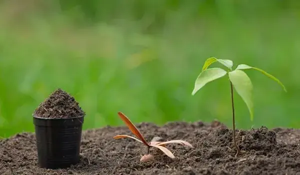What role does Azotobacter Liquid Based play in enhancing soil fertility and plant health?