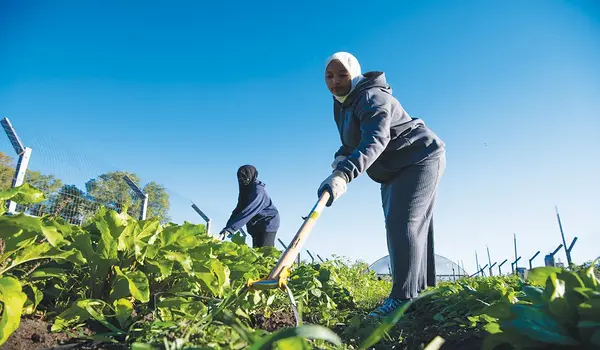 How does Virexx support sustainable pest management practices in agriculture?