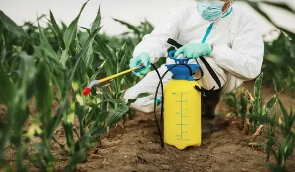 How can Eco Safe contribute to effective pest and disease management in organic farming?
