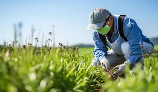 How Can Virexx Support Sustainable Pest Management Practices in Agriculture?