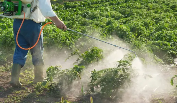 How Does Eco Safe Contribute to Effective Pest and Disease Management in Organic Farming?